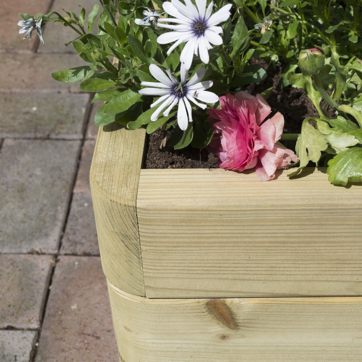 Rectangular Contemporary Wooden Garden Planter for Vegetables & Flowers