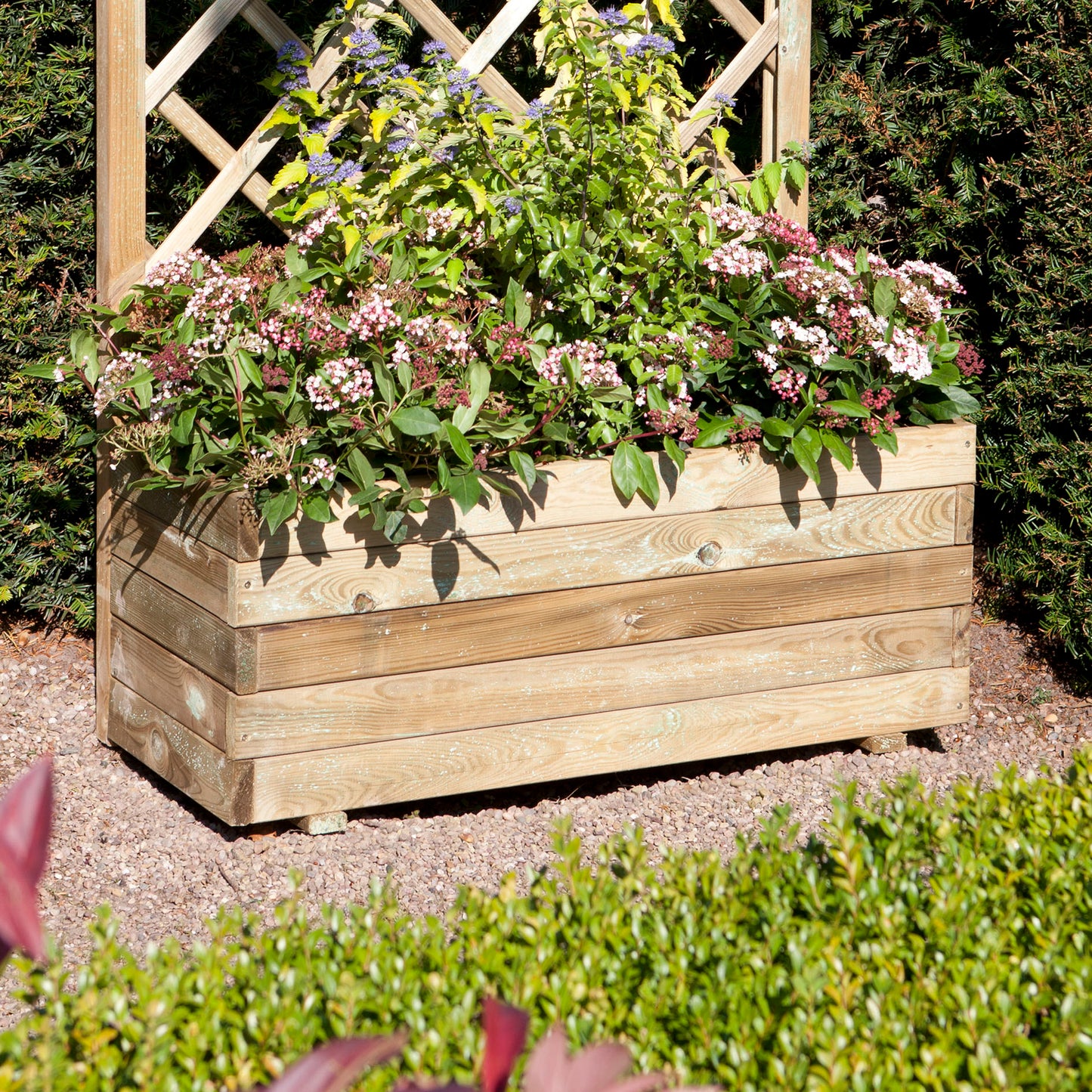 Rectangular Flower Planter with Climbing Trellis