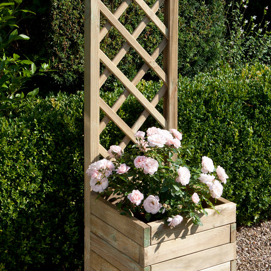 Square Flower Planter with Climbing Trellis