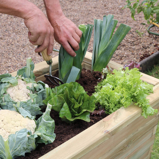 Sleeper Raised Bed 180x45x45cm for Flowers and Vegetables
