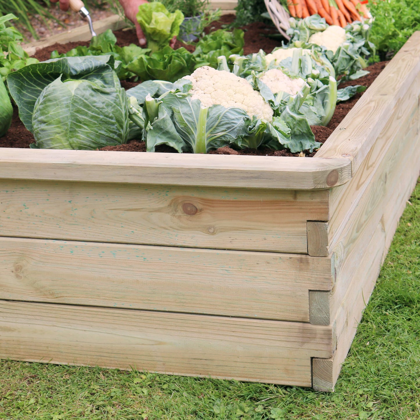 Sleeper Raised Bed 180x90x30cm for Flowers and Vegetables