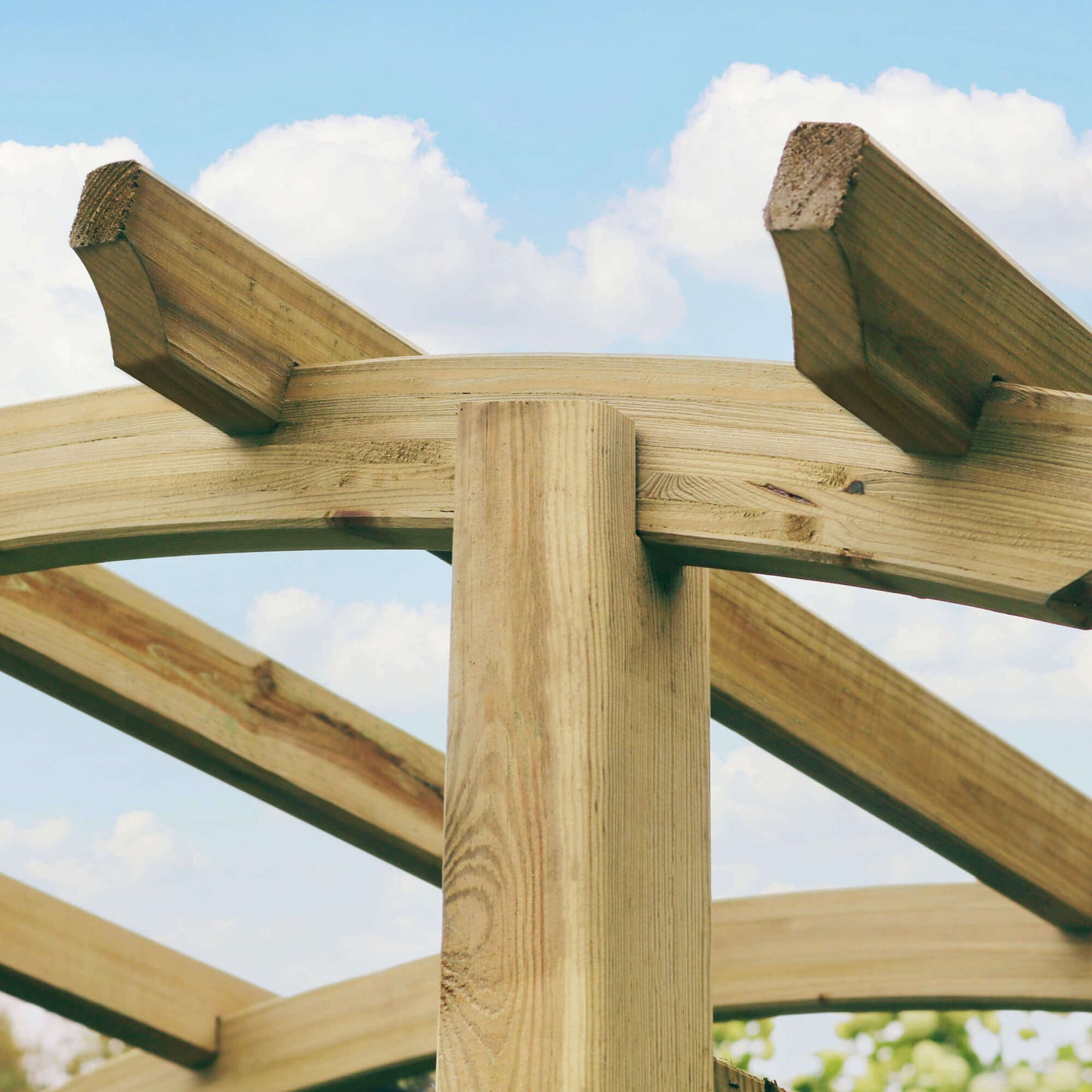 Cartagena Curved Top Garden Arch with Trellis