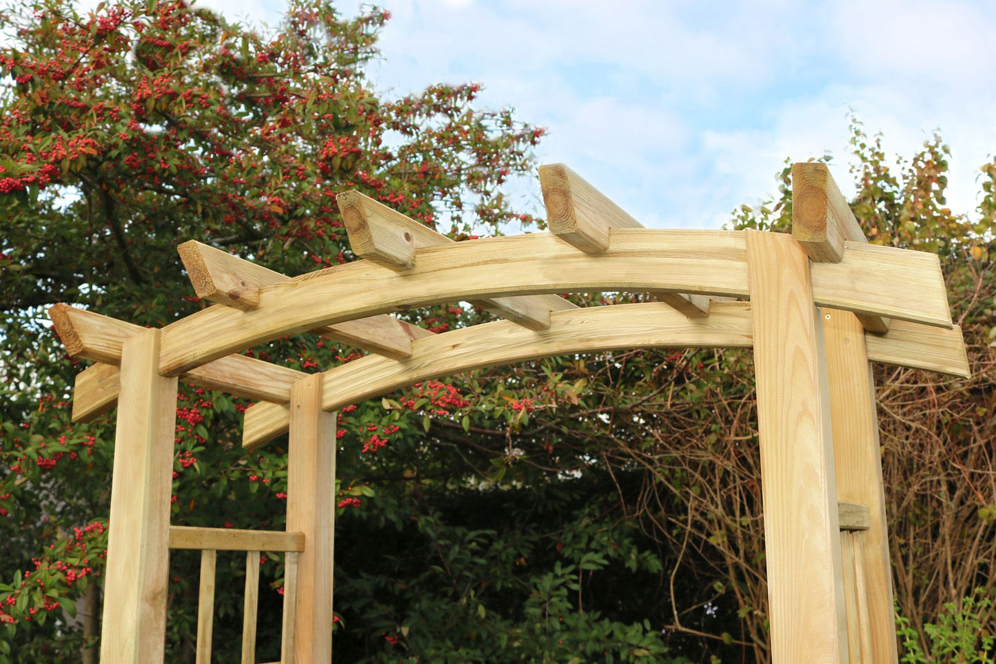 Reus Curved Top Garden Arch with Trellis