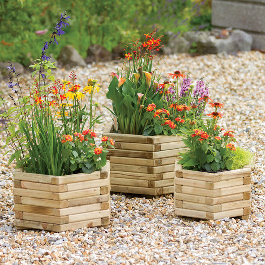 Badajoz Set of 3 Hexagonal Wooden Planters for Flowers and Vegetables
