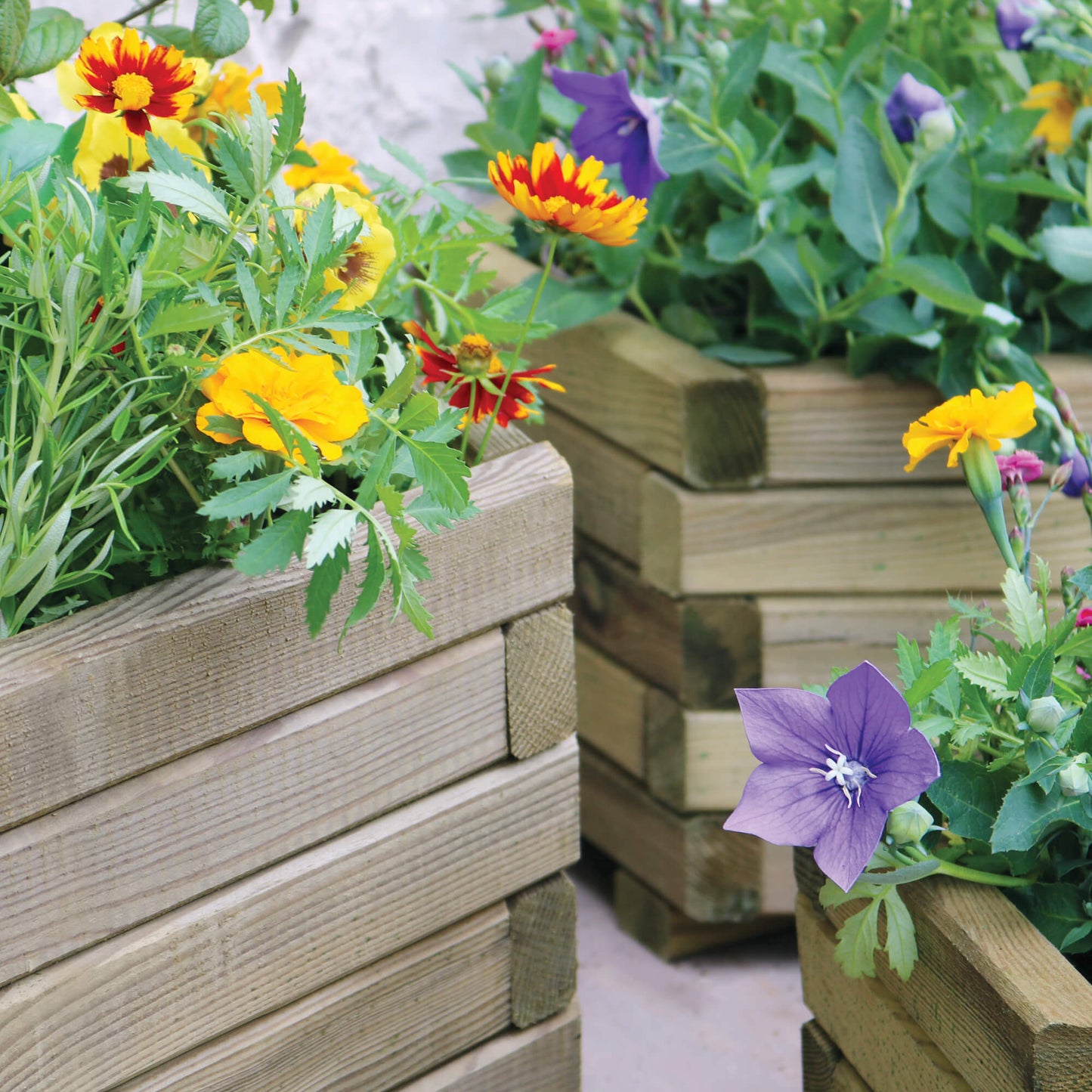 Badajoz Set of 3 Hexagonal Wooden Planters for Flowers and Vegetables