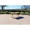 Malaga Solid Wood Outdoor Garden Furniture Dining Rectangular Table - 10 Year warranty against rot