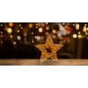 Christmas Rose Gold Firefly 3D Star Wreath pre-lit with 750 Warm White led (45cm diameter)