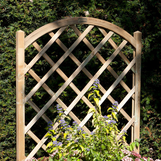 Rectangular Flower Planter with Climbing Trellis
