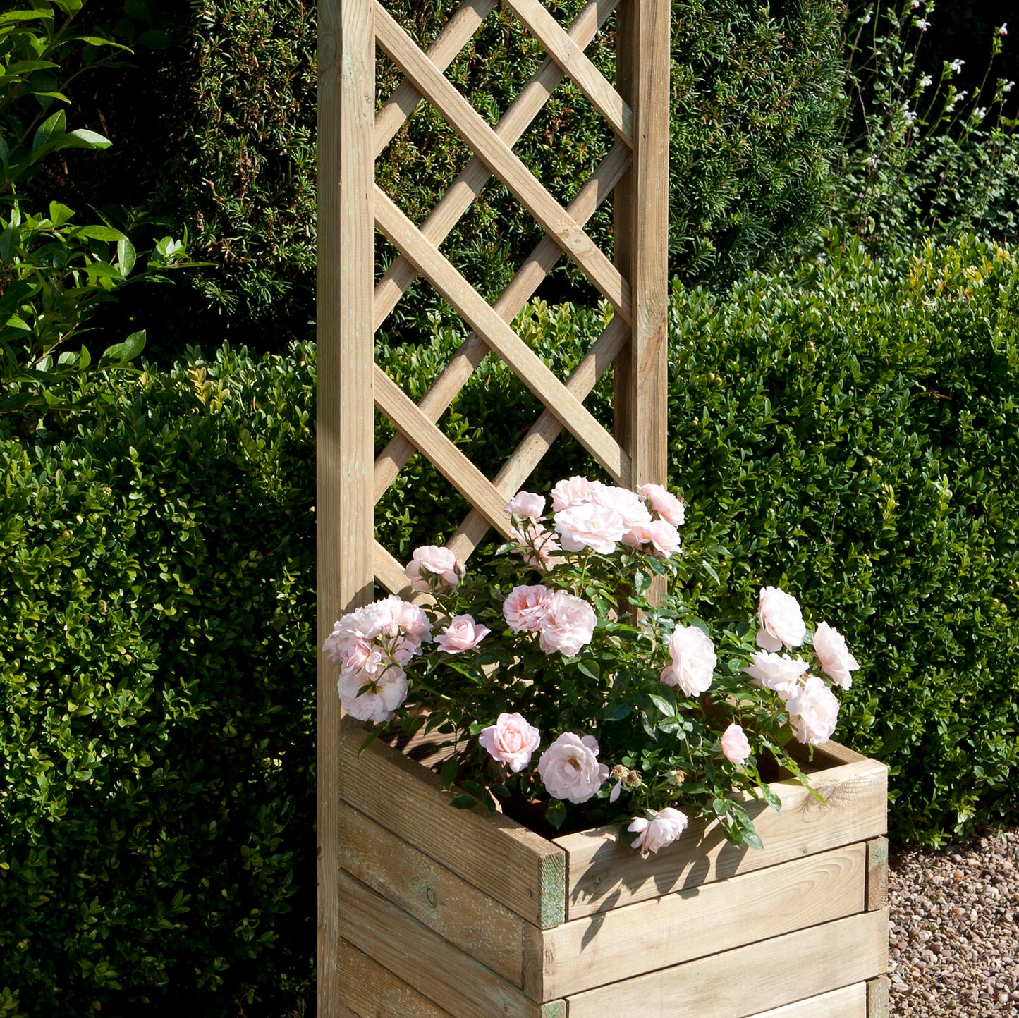 Square Flower Planter with Climbing Trellis