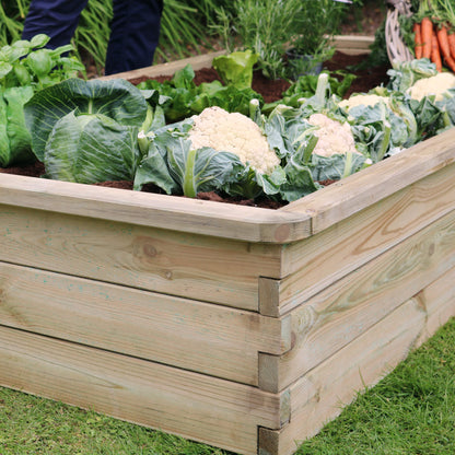 Sleeper Raised Bed 180x90x30cm for Flowers and Vegetables