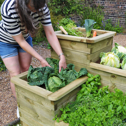 4 Tier Wooden Raised Bed