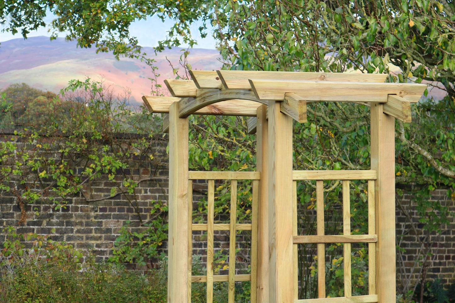 Reus Curved Top Garden Arch with Trellis