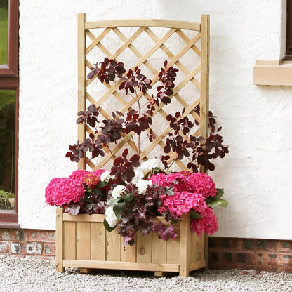 Flower Wooden Planter with Climbing Trellis