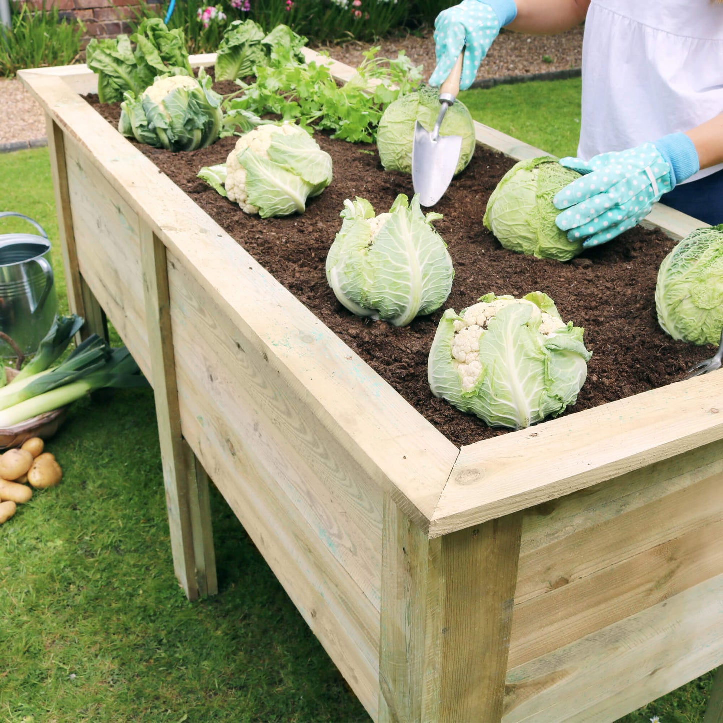 Deep Root Vegetable Planter 180cm