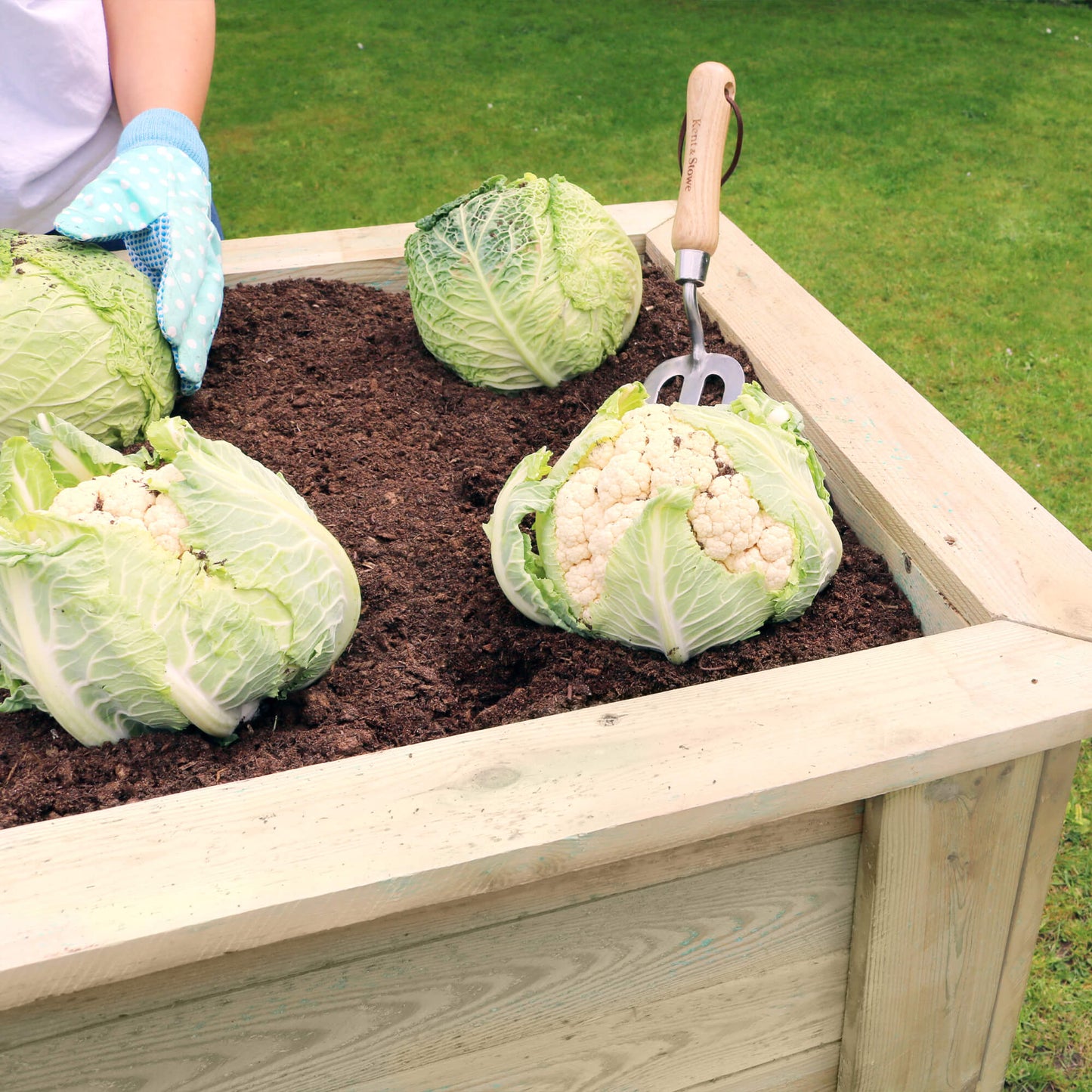 Deep Root Vegetable Planter 180cm