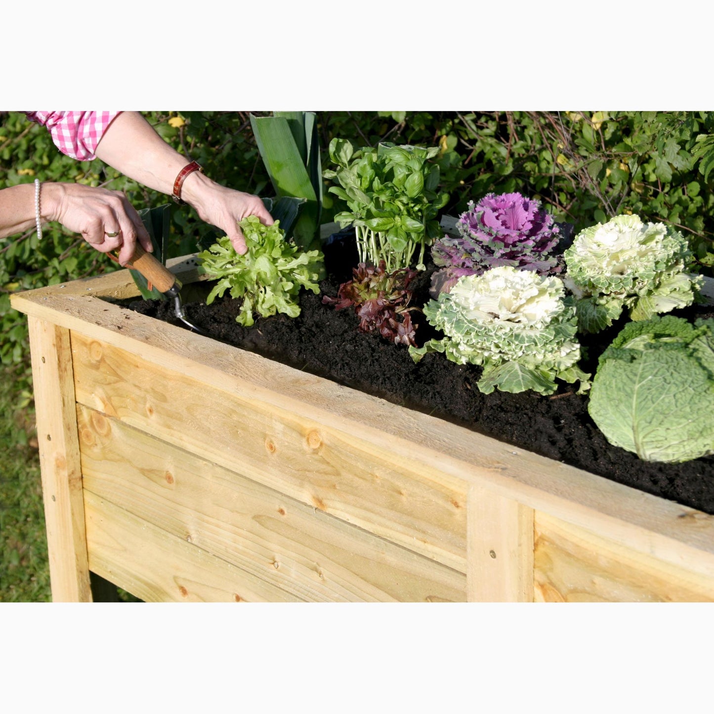 Deep Root Vegetable Planter 180cm