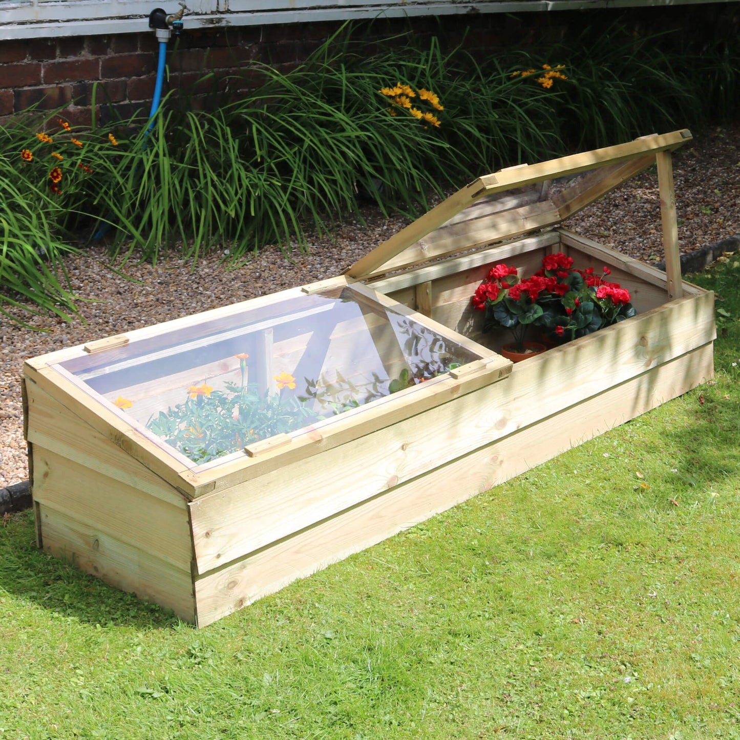 Large Wooden Cold Frame