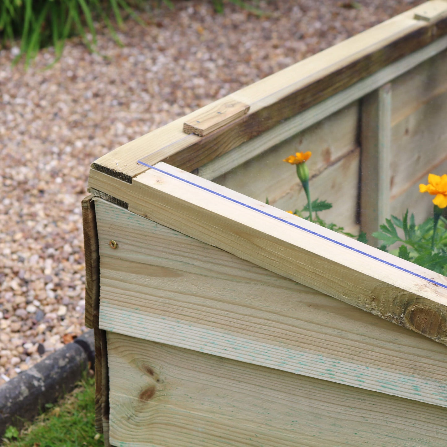 Large Wooden Cold Frame