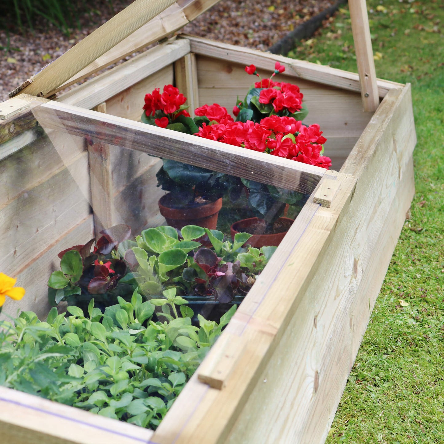 Large Wooden Cold Frame