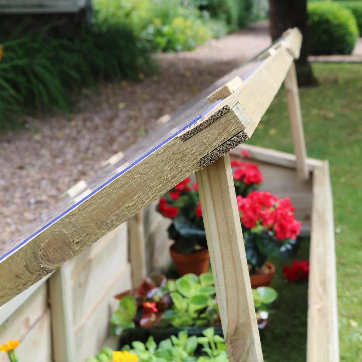 Large Wooden Cold Frame