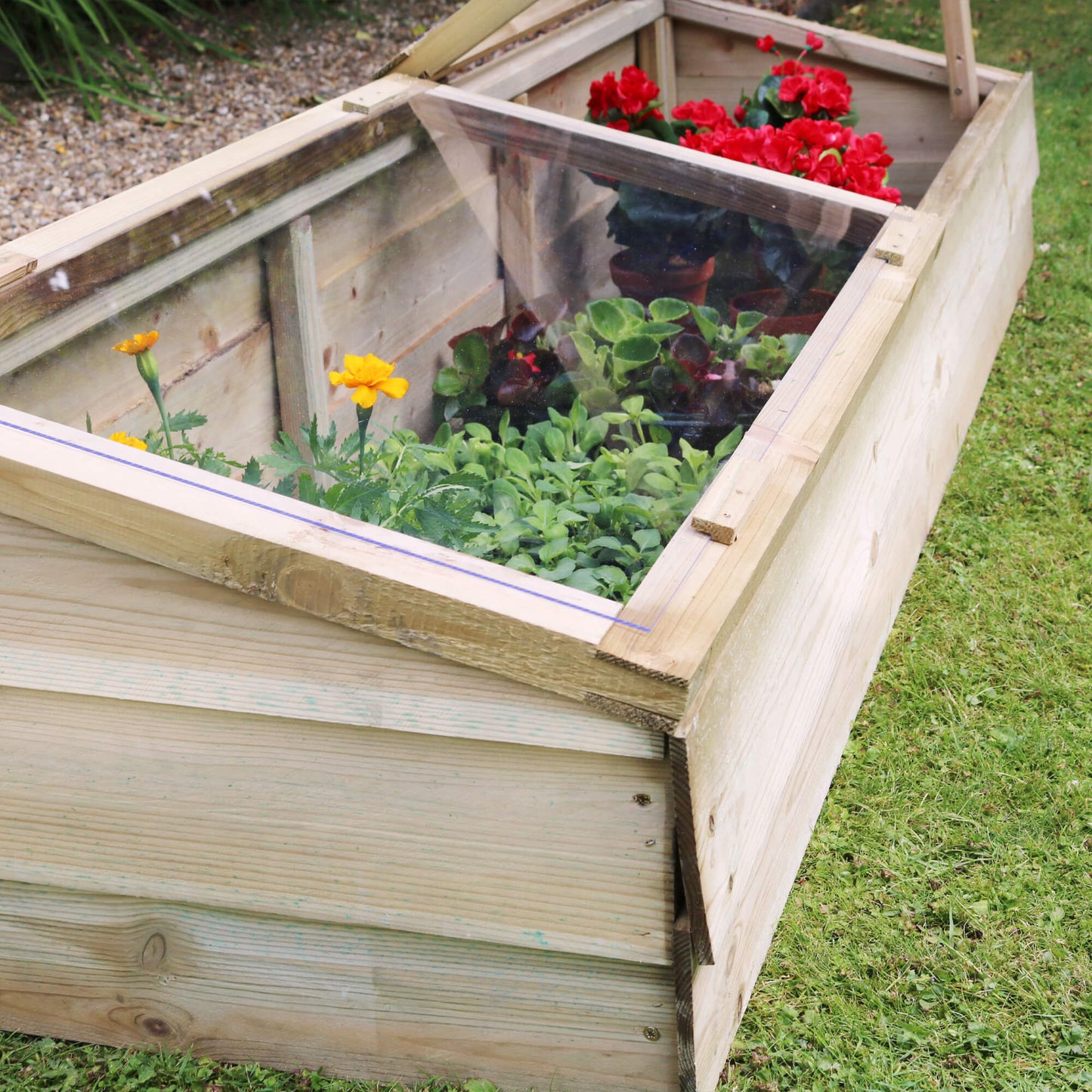 Large Wooden Cold Frame