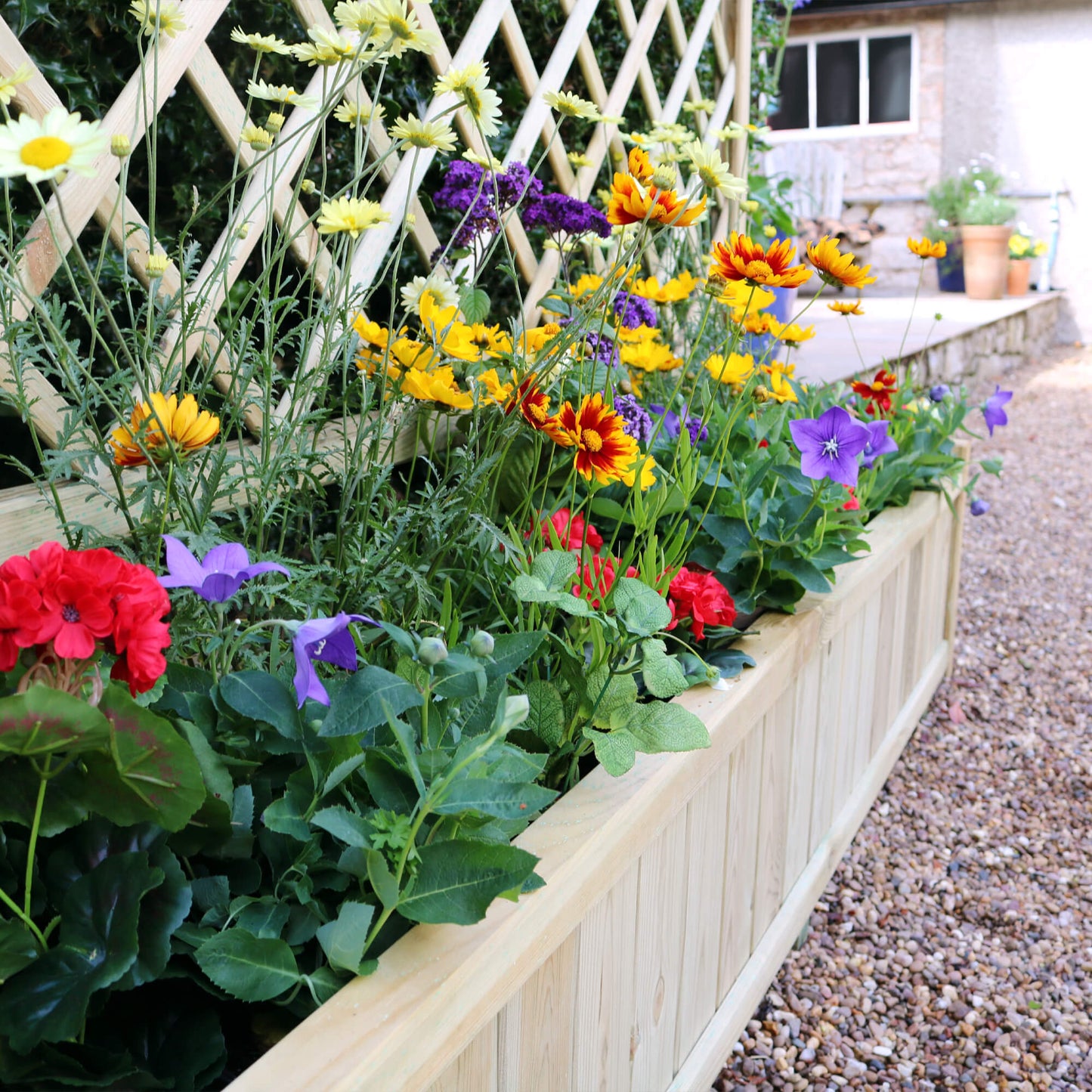 Large Flower Wooden Planter with Climbing Trellis (1.8m)