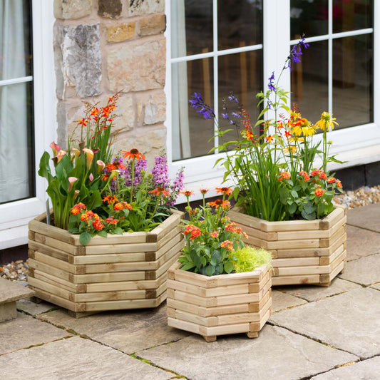 Badajoz Set of 3 Hexagonal Wooden Planters for Flowers and Vegetables