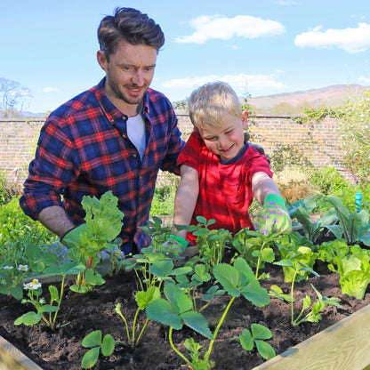 Wooden Vegetable Planter Trough 200cm